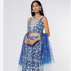 Lehenga Set, Indian Wedding outfit